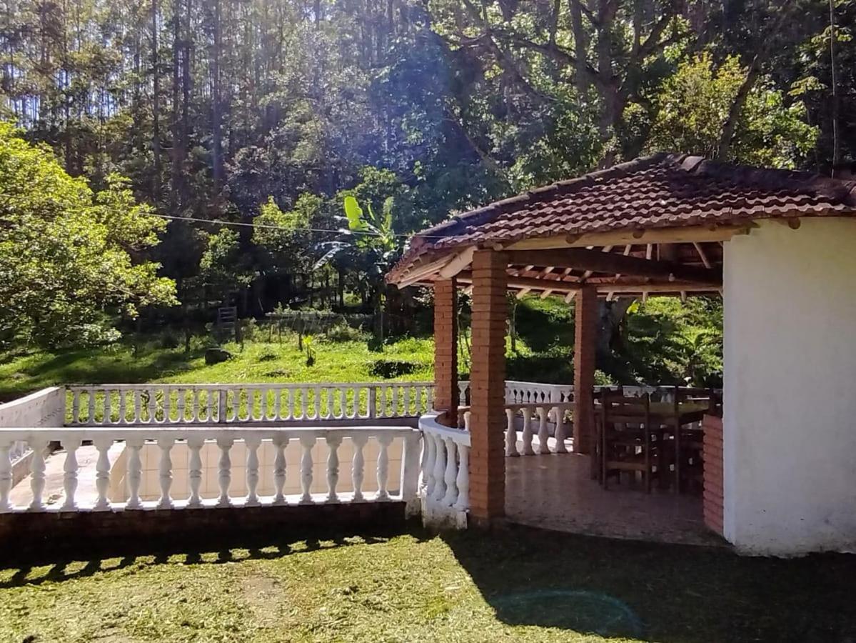 No Parque Estadual Da Serra Do Mar Sao Luiz do Paraitinga